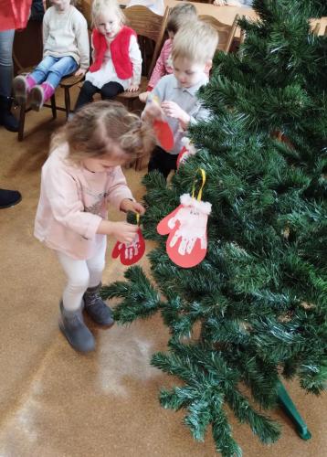 IMG_20221209_102357629