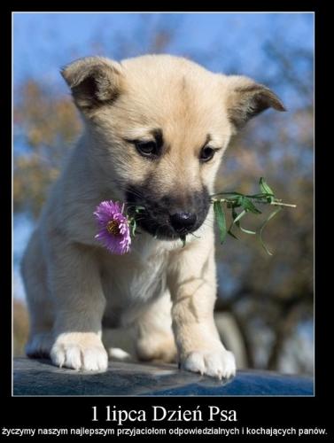 1277986212_by_Evro_600