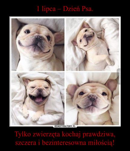 1467450145_jji4zt_600