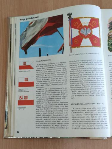 IMG_20240429_113259424