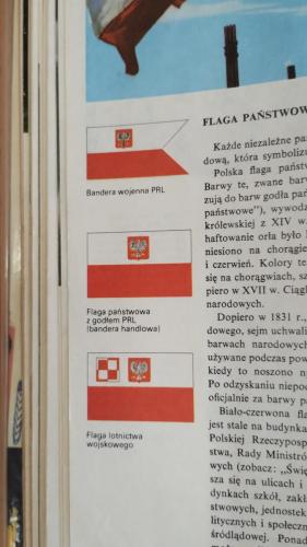 IMG_20240429_113304580