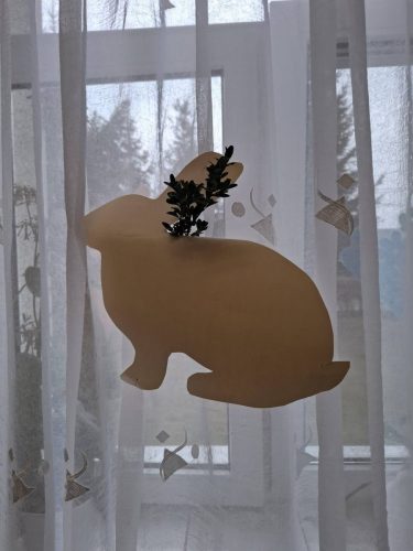 658140755_122236797536261272_6172418550731349367_n