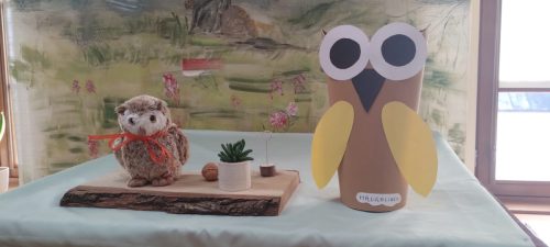 IMG_20251027_120101244