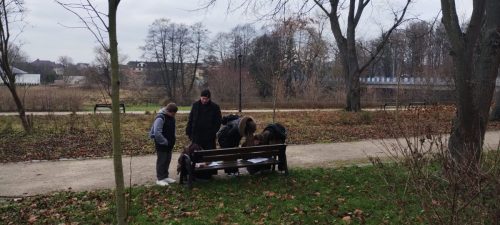 IMG_20251120_113006150