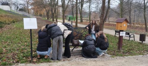 IMG_20251120_113014618