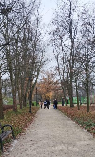 IMG_20251120_113443446